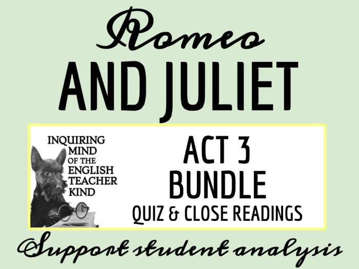 Romeo juliet act 3 quiz