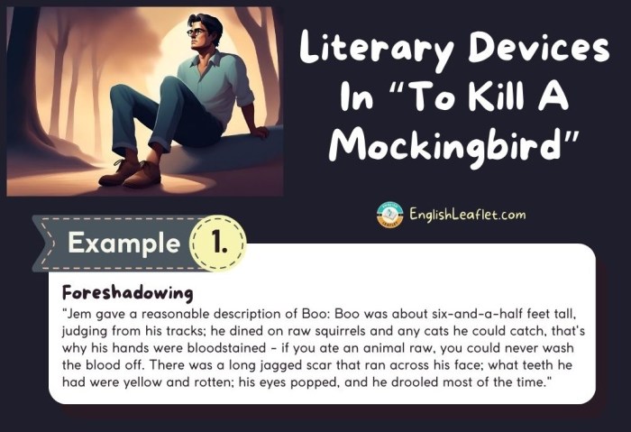 To kill a mockingbird literary devices