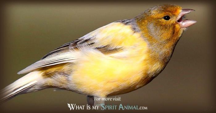 What does a canary symbolize