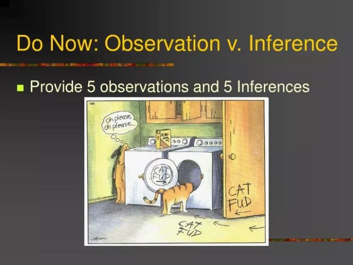 Observation vs inference worksheet answers