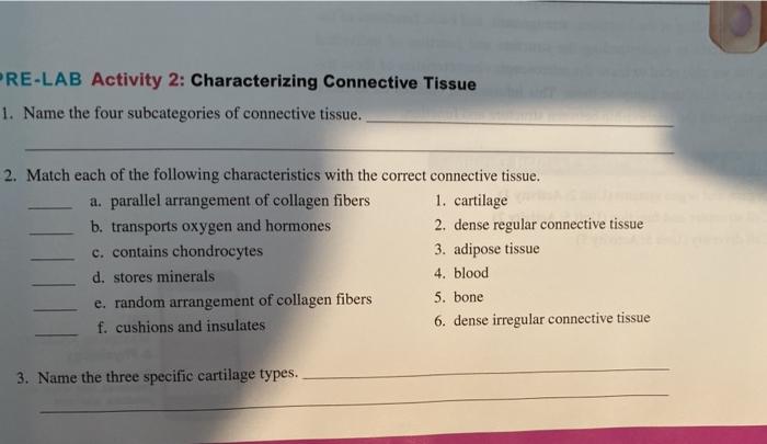 Epithelial tissue biopsies worksheet answers