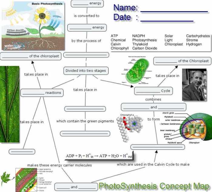 Respiration cellular biology map chart concept key answer flow worksheet cell photosynthesis answers science ap biologycorner teaching cycle lessons notes